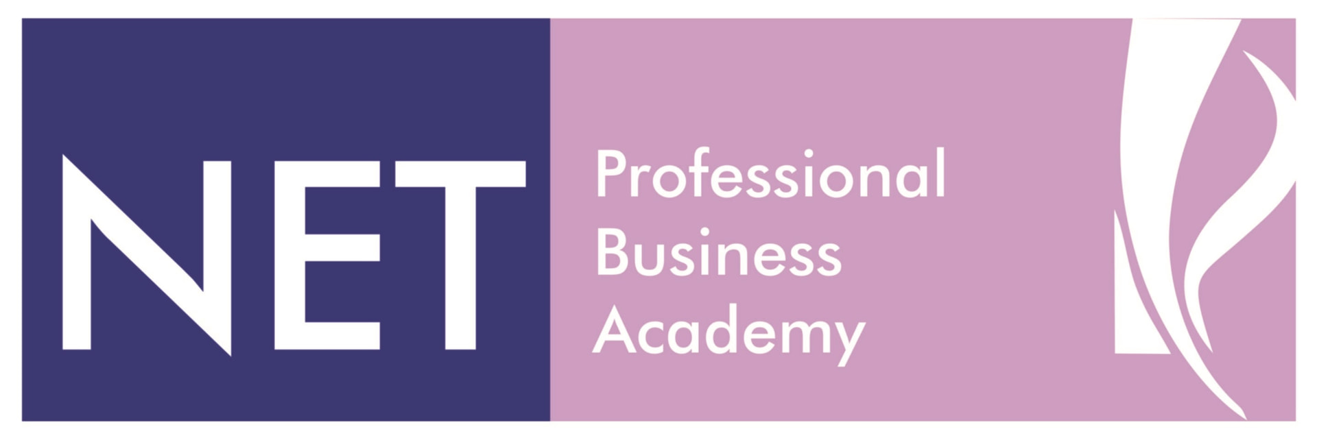 Net Professional Business Academy